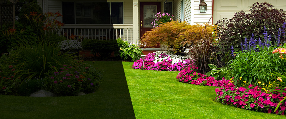 Imperial Beach Landscapers