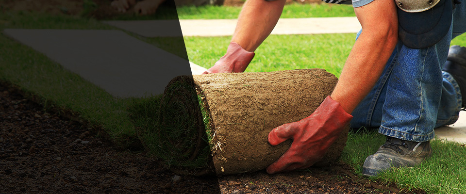 Imperial Beach Landscapers
